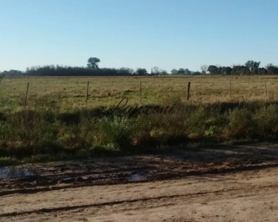 CAMPO DE 19,5 Ha. MIXTAS - Cód.LBR14CAM