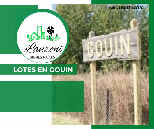 INTERESANTES LOTES EN GOUIN, CARMEN DE ARECO - Cód. LBR 131LOT/G