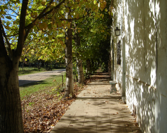 INTERESANTES LOTES EN GOUIN, CARMEN DE ARECO - Cód. LBR 131LOT/G