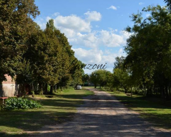 INTERESANTES LOTES EN GOUIN, CARMEN DE ARECO - Cód. LBR 131LOT/G