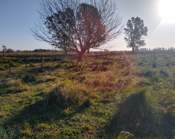 VILLA SAN ALBERTO: CHACRA 2HÁS. SOBRE AUTOVÍA LUJÁN/JUNIN - Cód. LBR155CHA