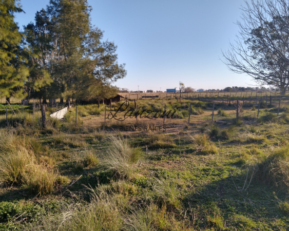 VILLA SAN ALBERTO: CHACRA 2HÁS. SOBRE AUTOVÍA LUJÁN/JUNIN - Cód. LBR155CHA