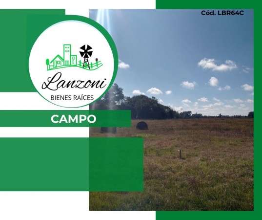 SE VENDE CAMPO DE 14 Has. Aprox.