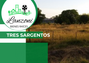 LOTE EN TRES SARGENTOS - Cód.LBR25LOT